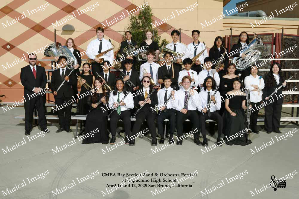 Musical Images